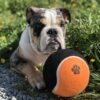 Whesco stor massiv tennisbold til hunde. orange og sort. hundelegetøj